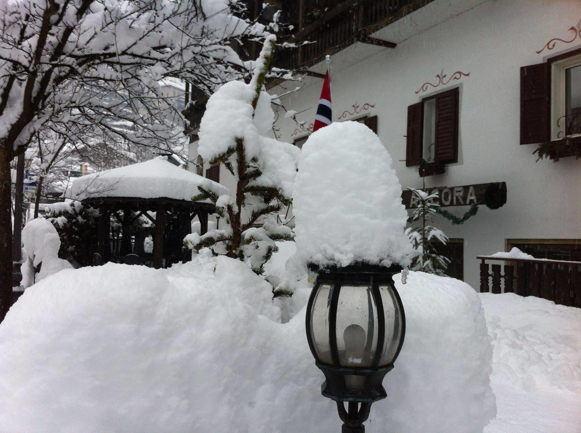 Hotel Ancora Castello-Molina di Fiemme Exterior foto
